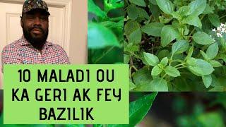 Fey BAZILIK ka geri 10 maladi ke ou pat janm panse  / Yon Ti Konsey