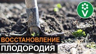 НИЧЕГО НЕ РАСТЕТ?! Почвоутомление: что это и как его избежать