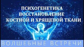 Ольга Писарькова Восстановление костной и хрящевой ткани. Секреты психогенетики.