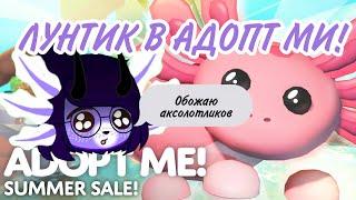 ЛУНТИК В АДОПТ МИ!!! Новый премиум питомец и летние скидки в Адопт ми! Roblox Adopt me