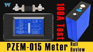 Full Review of PZEM-015 PZEM 013 0-200V 0-300A  DC Energy, Voltage, Current Capacity Meter