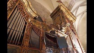 Smarano International Academy 2019 - organ, harpsichord, clavichord and fortepiano)