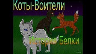 Коты-Воители\ История Белки