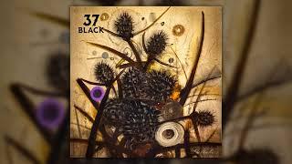 37 Black - Lullabies