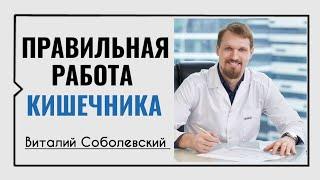 Правильная работа кишечника️Виталий Соболевский