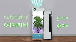 The Best Smart Indoor Garden that Makes Growing "So Easy" - Hey abby Grow Box