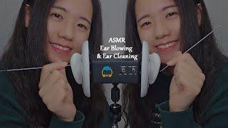 ASMR Ear Blowing & Gentle Ear Cleaning | Deep Ear Cleaning, Sensitive, Metal, Twin (No Talking, 1Hr)