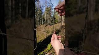  A knot of rope that will come in handy on a hike