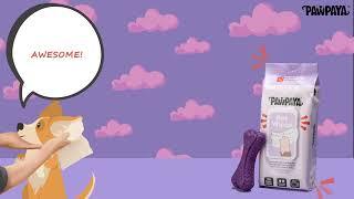 The Lazy Pet Owner's Secret Weapon Pawpaya Pet Wipes No More Stank