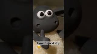 Have a good day       #shorts #goodday #goodmorning #ytshorts #yt #shortsfeed #cute