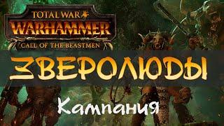 Total War: Warhammer - ЗВЕРОЛЮДЫ | Прохождение кампании