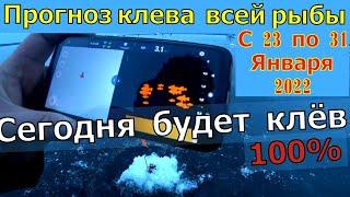 Календарь рыбака на эту неделю с 23 по 31 января 2022. Прогноз клёва рыбы. Лунный календарь рыбака.