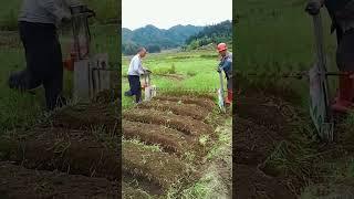Land reclamation and ridging machines, farming wisdom makes planting easy and fun