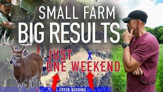 Small Farm BIG RESULTS in ONE WEEKEND // LEE AND TIFFANY LAKOSKY