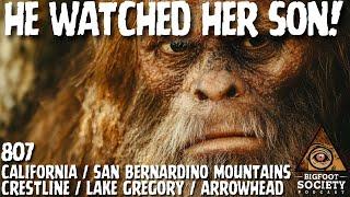 Eight Feet Tall. Black Eyes. Right Outside the Cabin. | Bigfoot Society 807