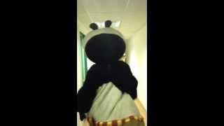 [ОЧЕНЬ СМЕШНО] Кунг-фу Панда перед мероприятием))) Kung Fu Panda. www.ВашВедущий.рф