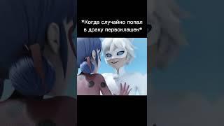 Когда случайно попал в драку#ледибагисуперкот#shorts