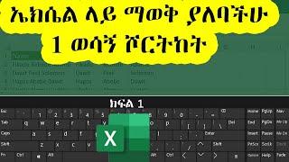 ኤክሴል ላይ ማወቅ ያለባችሁ 1 ወሳኝ ሾርትከት  Excel Shortcuts You SHOULD Know!