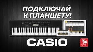 CASIO CTK-3500 - самый дешевый синтезатор с активной клавиатурой