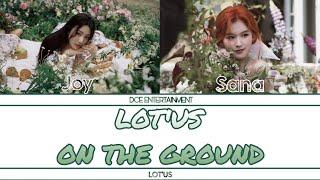LOT'US "On The Ground" Color Coded Lyrics