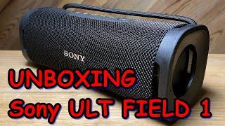 Sunet bun, da nu excelent | Sony ULT FIELD 1