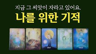 [타로] 나를 위해 이루어질 기적 ️ 지금 기적의 씨앗이 이미 자라고 있어요.