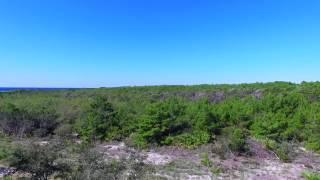 Cypress Dunes