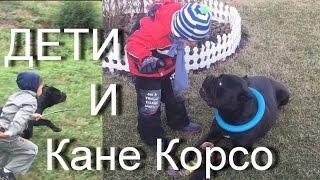 ДЕТИ и собака КАНЕ КОРСО. #КанеКорсоиДети Характер Кане Корсо