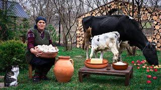 Village Style Butter & Cottage Cheese Made from Fresh Milk 