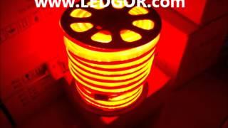 Cuttable LED Neon Rope Red Color Waterproof 220V 120V  - Ledgor