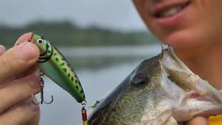 Popper Fishing Tips With LakeForkGuy!