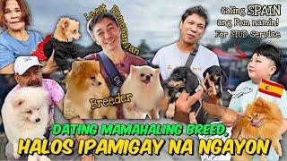 PINAPAUBOS NA LANG | GROTTO PET MARKET UPDATE | OCOBER 20. 2024