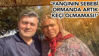 SuperHaber Bodrum'da! Yukarı Mazı köyü sakini: Yangının sebebi ormanda artık keçi olmaması!