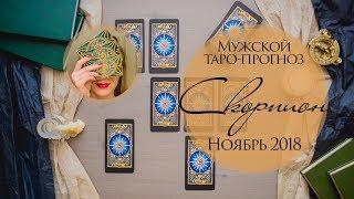 Мужской прогноз Скорпион НОЯБРЬ 2018