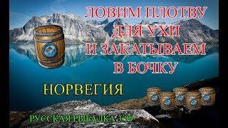 Русская рыбалка 3 99. Норвегия. Ловим плотву на уху и закатываем в бочки.