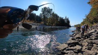 SALMON FISHING BC'S MOST CROWDED RIVER  | BRITISH COLUMBIA