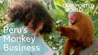 Illegal animal trafficking in Peru | Unreported World