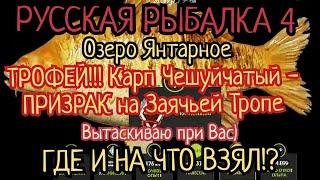 РР4. озеро Янтарное. Где ловить ТРОФЕЙ! Карп Чешуйчатый-призрак!? Также Карп Зеркальный)