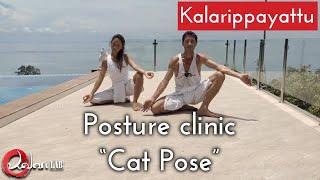  Posture Clinic - Cat Pose - Indian Martial Art Kalarippayattu