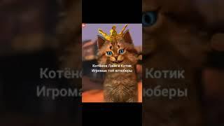 Котёнок лайк и котик игроман топ ютуберы