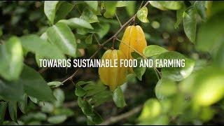 Organic 3.0 - Sustainable Food and Farming   