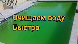 зацвела вода в бассейне очищаем быстро.