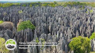 Exploring Tsingy de Bemaraha National Park | Wildlife Photography & 4K Drone Footage