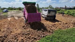 Full Project Video.!! Technique Filling Land Flooded land With Dump Truck 5T And D31P KOMATSU Dozer