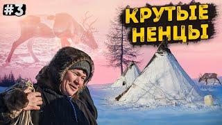 КАК ЖИВУТ НАСТОЯЩИЕ НЕНЦЫ ОЛЕНЕВОДЫ В ЧУМАХ / ДОБРАТЬСЯ ДО СЕВЕРНЫХ ОЛЕНЕЙ НА ВНЕДОРОЖНИКАХ. ЯМАЛ #3