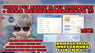 GUIDE PET ASSIST & PET EQUIPMENT ‼️ CARA MAKSIMALKAN ASSIST & EQUIP PET ‼️ Ragnarok Origin ROO