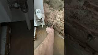 solving rising damp by dryrod