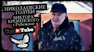 Николаевские голуби. Виктор Кременской на связи ! Луганская область г.Рубежное