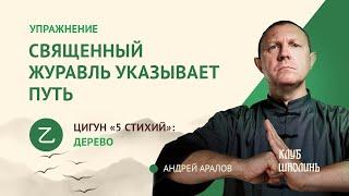 Комплекс цигун 5ти стихий на весну: укрепление печени и желчного пузыря. А.В.Аралов.