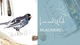 Learn to sketch a Blackbird in line and wash | Full tutorial so bring supplies and warm tea